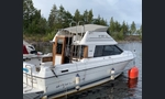 Bayliner 2556 Ciera CB-kuva-1